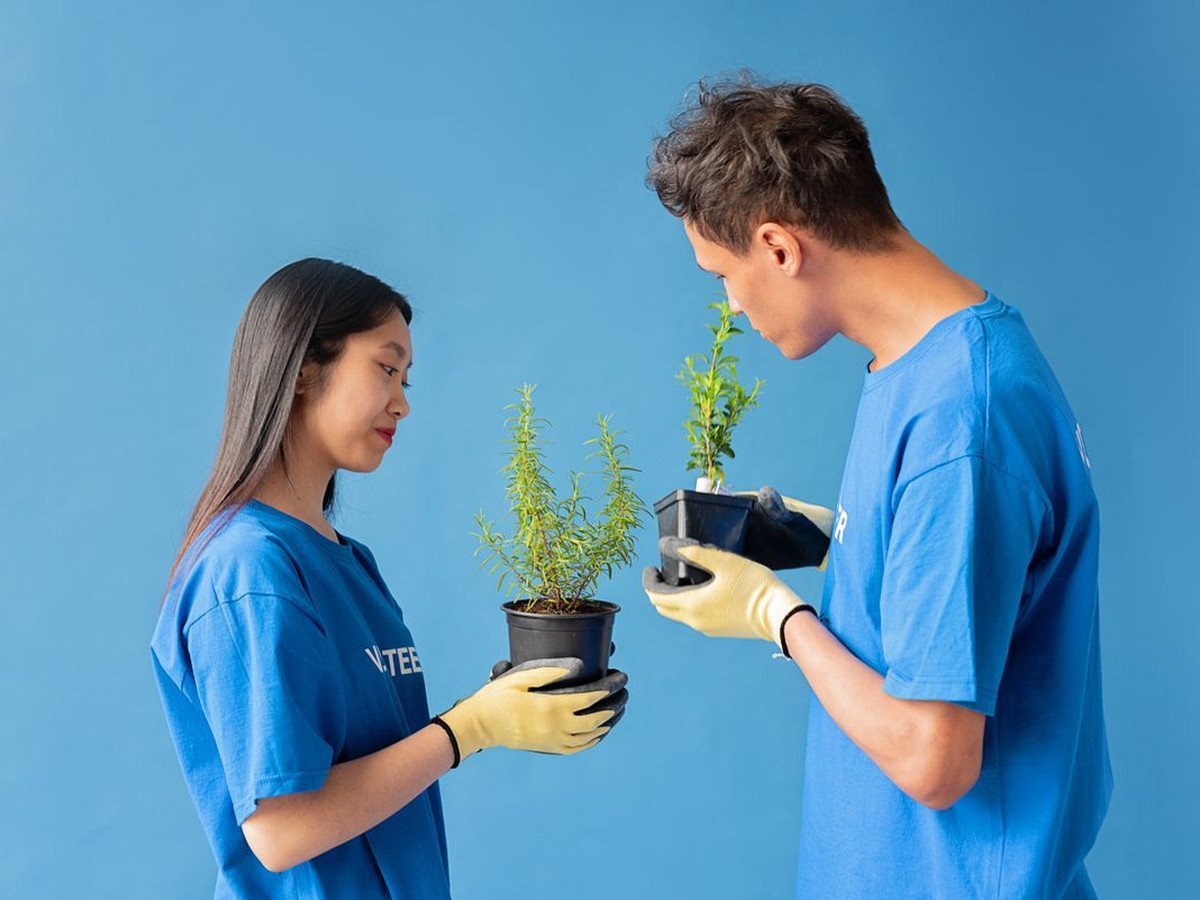 Community garden planting
